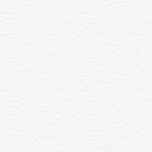 Meet your Posher, Alia